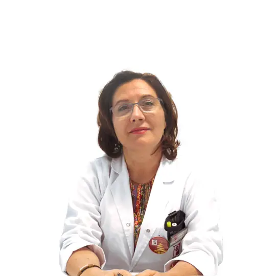 Ana Belmira 